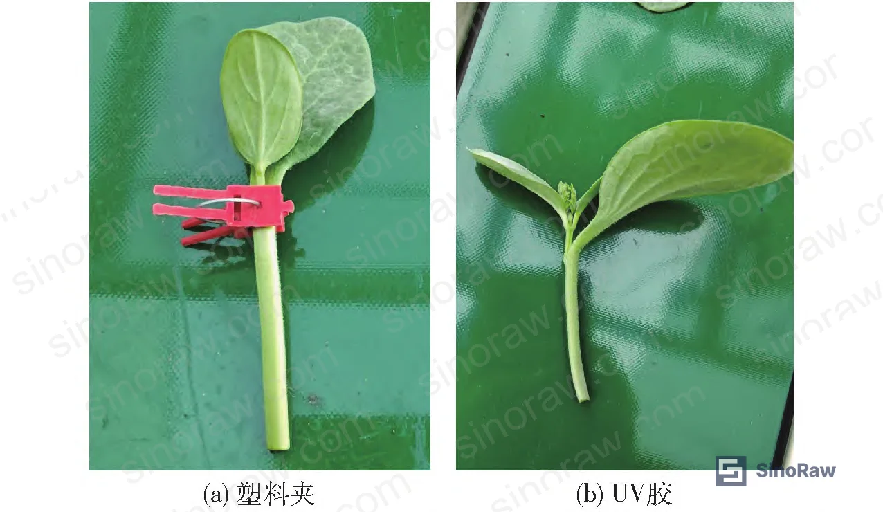 Figure 1: Comparison of UV adhesive film coating versus traditional mechanical clip fixation methods in automated assembly