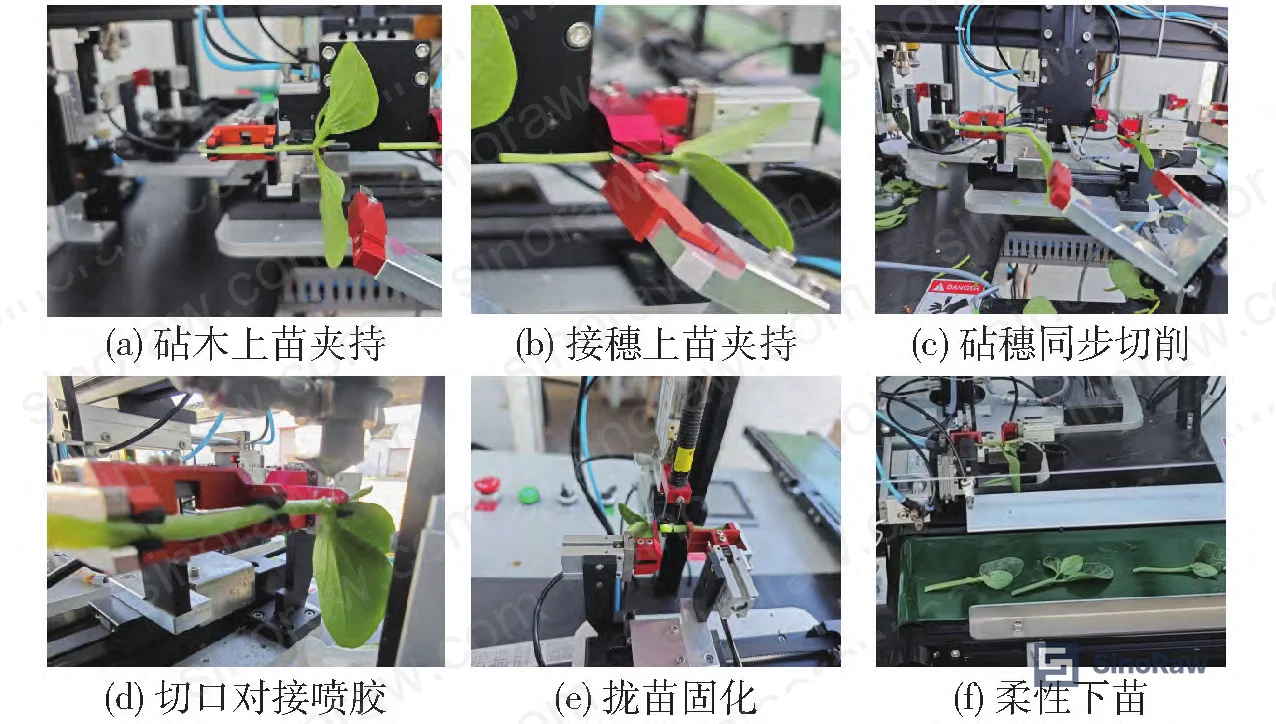 Figure 10: Complete automated dispensing and UV curing process sequence showing clamping, adhesive spray application, UV cure, and output stages
