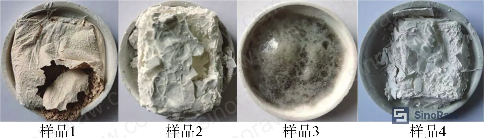 Figure 1: Ceramic morphology of sealant specimens with individual mineral fillers after 1000°C sintering — mica (Sample 1), silicon micropowder (Sample 2), glass powder (Sample 3), nano-calcium carbonate (Sample 4)