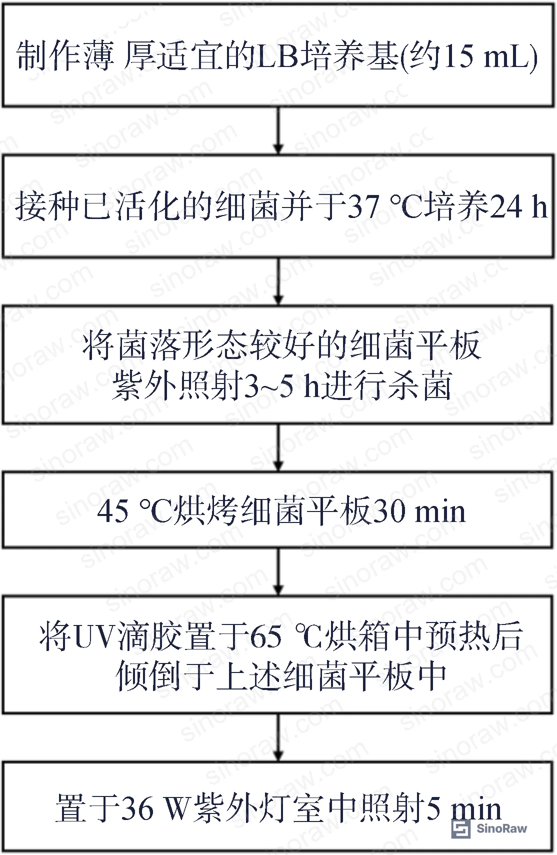 Figure 1: UV curing process workflow for encapsulation applications — sterilization, adhesive flooding, and photocuring sequence under 36W UV lamp