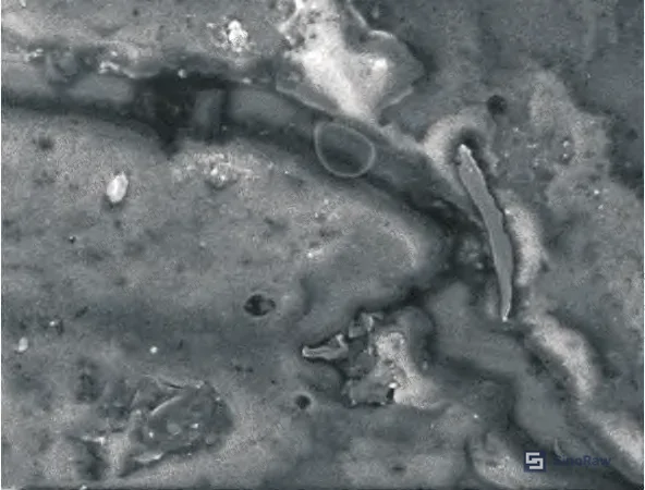 Figure 9: Second SEM view showing parallel crack propagation pattern and smooth transition morphology at crack edges — no sharp stress concentration geometry
