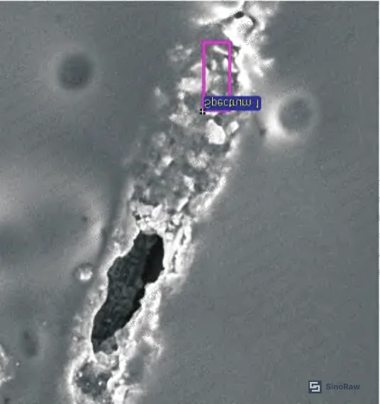 Figure 10: EDS spectrum of crack-filling material — elemental peaks for O, Fe, Zn confirmed, consistent with iron oxide scale and zinc galvanizing residue