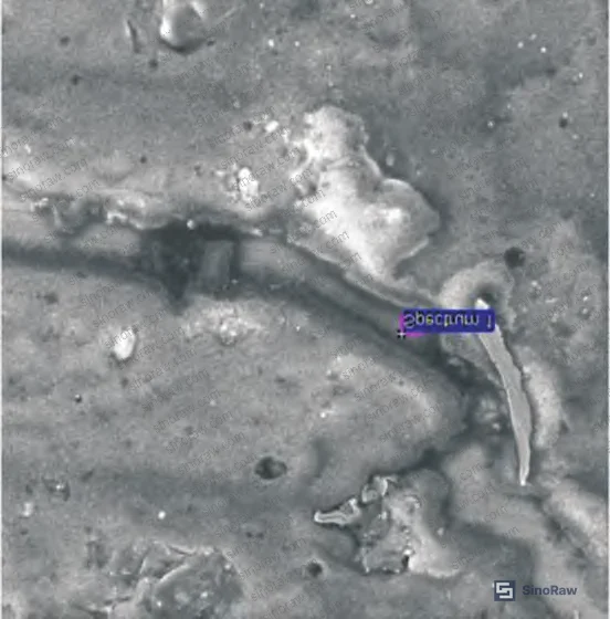 Figure 12: Discussion section metallographic evidence — dispersed slag inclusions and iron oxide masses at crack edges and tips, confirming folding defect origin