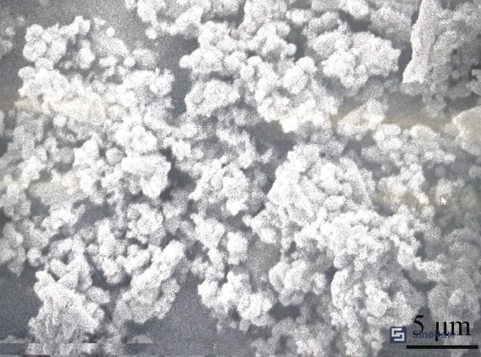 Figure 3: SEM micrograph of sealant with 75% precipitated barium sulfate filler showing particle distribution