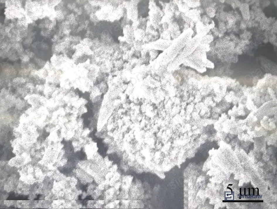 Figure 4: SEM micrograph of sealant with 100% precipitated barium sulfate filler showing agglomeration