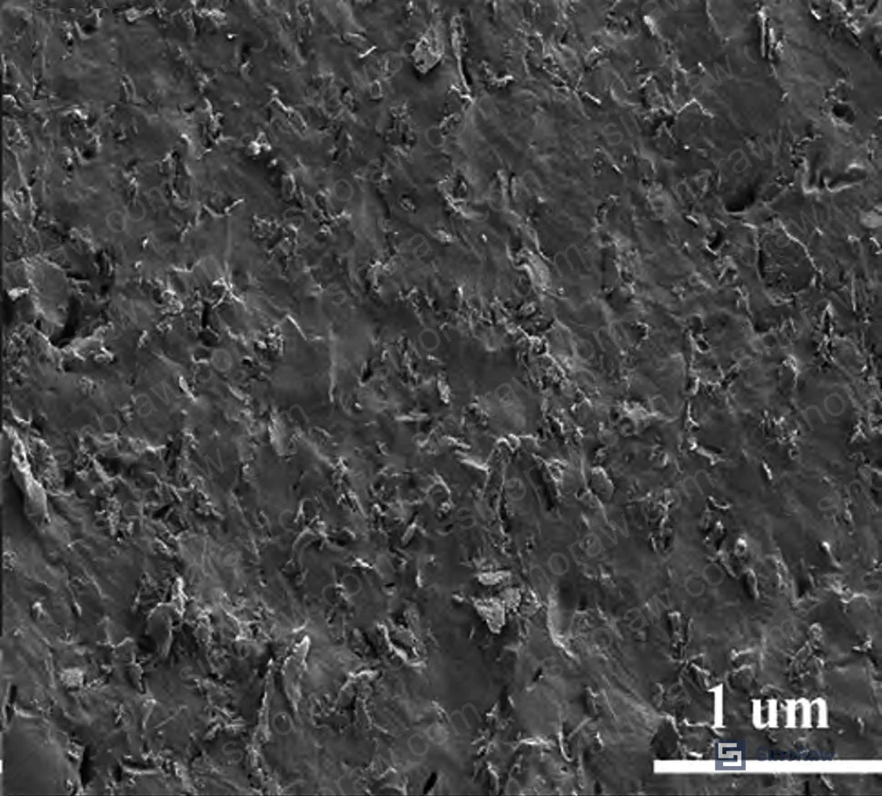 Figure 8: SEM of cured sealant cross-section confirming particle shape retention and absence of chemical interaction at the AgNP–PDMS interface