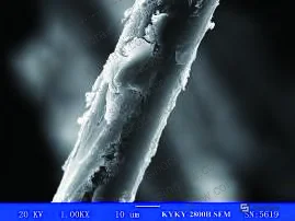 Figure 6: Optimized PTFE coating showing complete fiber encapsulation without pore blockage