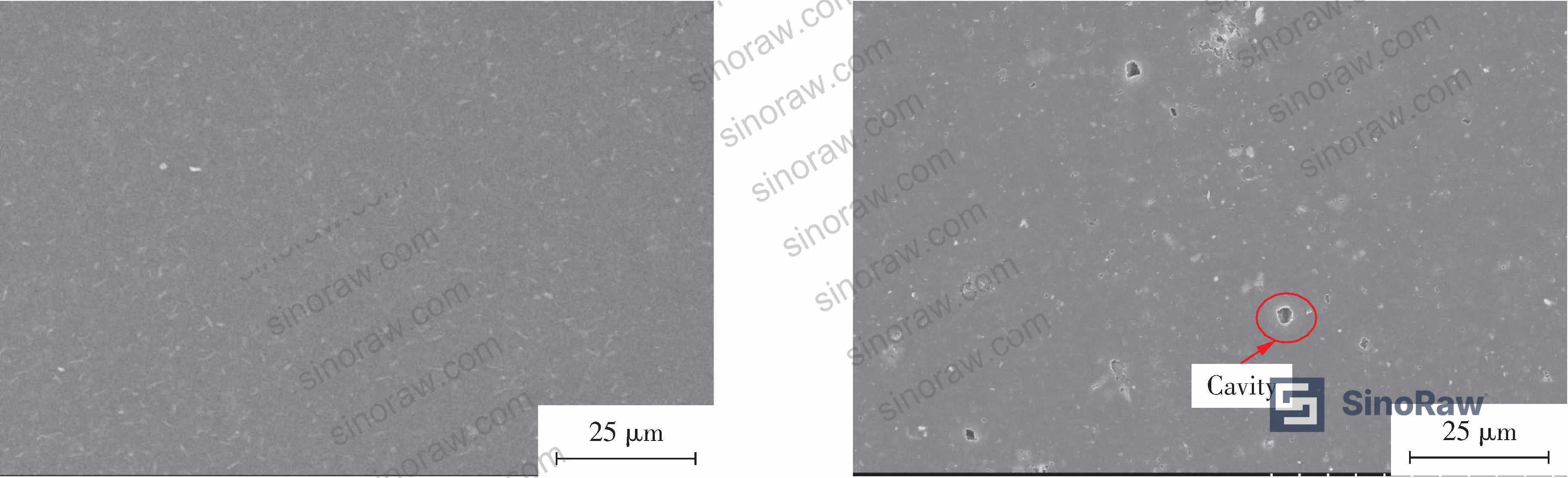 Figure 9: SEM surface morphology of uncoated NBR5080 after 90-day RP-3 kerosene immersion, showing voids, carbon black migration, and surface bloom