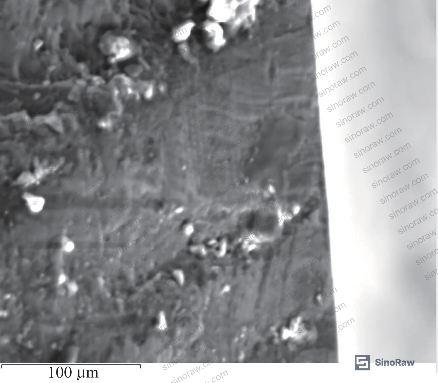Figure 10: SEM micrograph of Phase B fracture showing fatigue striations (beach marks) confirming cyclic crack propagation