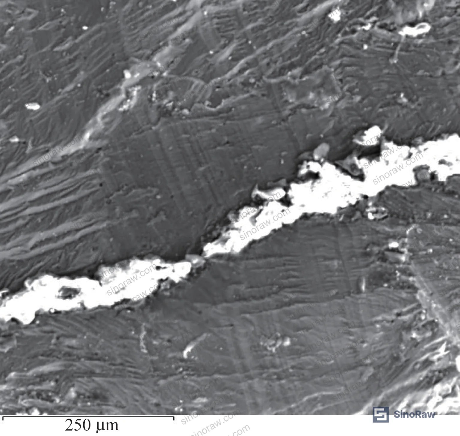 Figure 11: SEM micrograph of Phase C terminal fatigue striations in the crack initiation region — no manufacturing defects identified