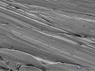 Figure 2: SEM surface morphology of uncoated phosphate film showing ridge-like crystalline structure and surface roughness