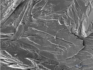 Figure 3: SEM surface morphology of sodium silicate-sealed phosphate film showing smoother, denser surface texture
