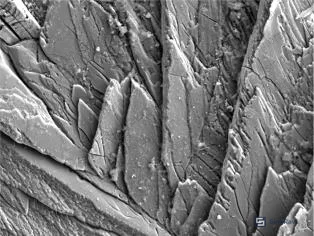 Figure 4: SEM surface morphology of bare steel after 48h NaCl immersion showing heavy corrosion products and localized pitting