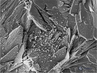 Figure 6: SEM surface morphology of sealed phosphate film after 48h NaCl immersion showing minimal corrosion products and intact barrier layer