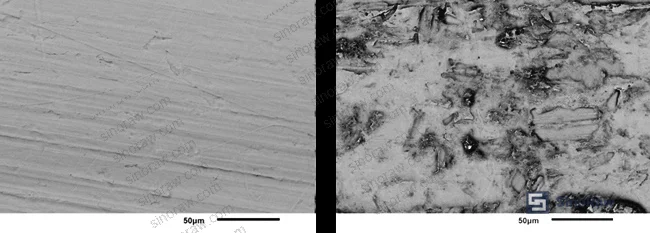 Figure 2: Compressive creep curves for PTFE composites at 30°C (0–25 wt% wollastonite, 10 MPa load, 48 hours)