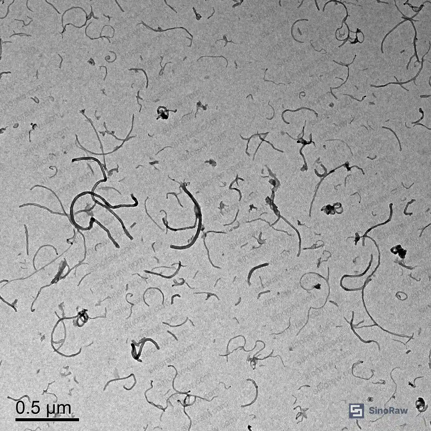 Figure 1: Schematic cross-section of external-addition antistatic release film structure, showing CNT conductive layer on corona-treated PET substrate with silicone release topcoat