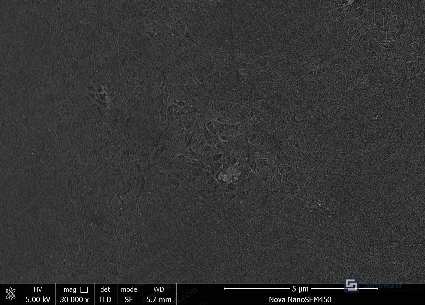 Figure 4: SEM images comparing water-treated film surface (visible dispersant residue as white spots) versus acid-treated film surface (clean CNT network)